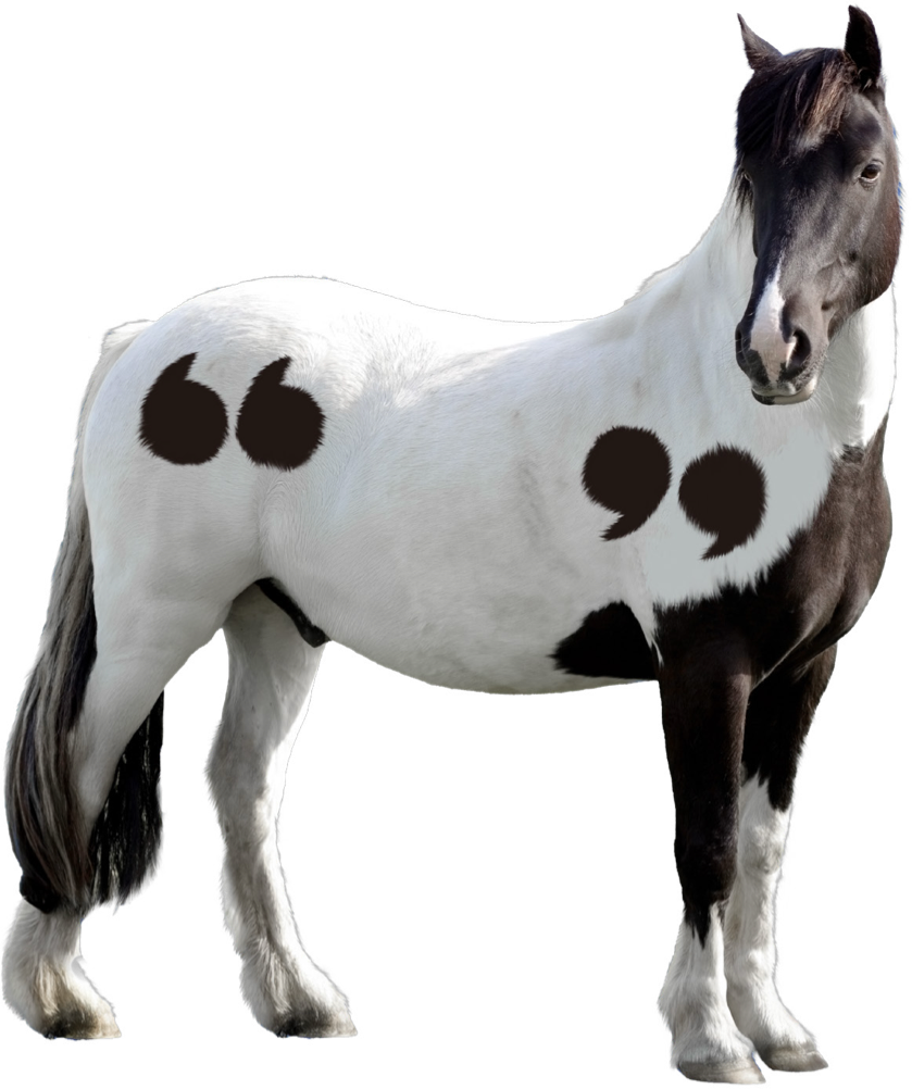 Horse 2