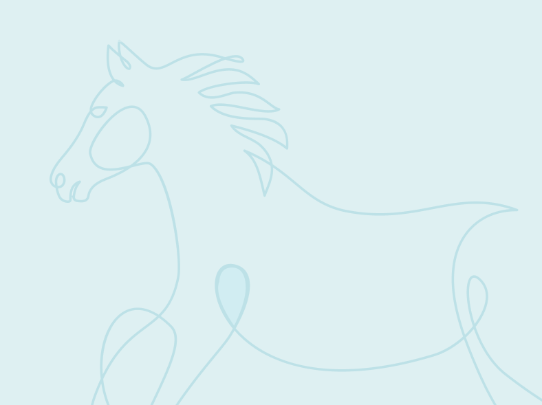 5 Things to Discuss with Your Vet