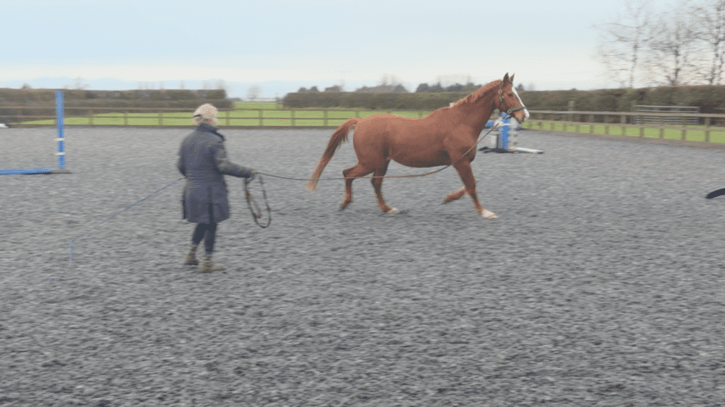 Why lameness isn't always obvious